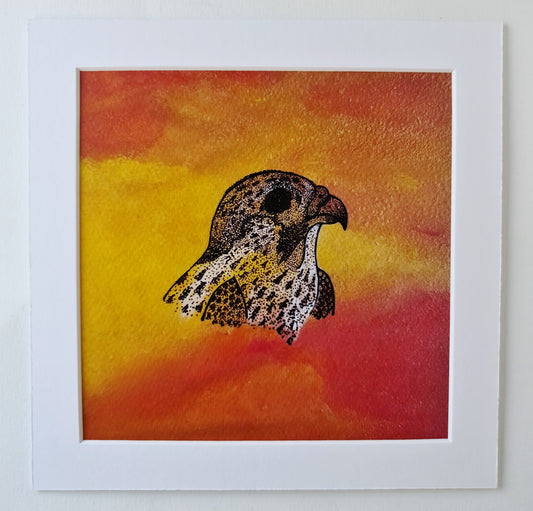 Falcon in the desert - PRINT